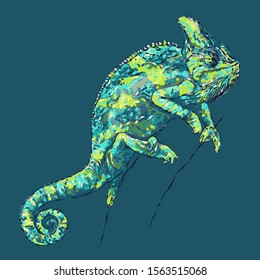 Chameleon. Lizard changing the color of the body. Hand-drawn vector illustration.