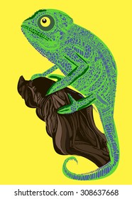 chameleon lizard drawing color graphics details branch