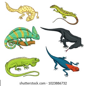 Chameleon Lizard, green iguana, Komodo dragon monitor, American Sand, exotic reptiles or snakes, spotted fat-tailed gecko. wild animals lacertian in nature. vector illustration. engraved hand drawn.