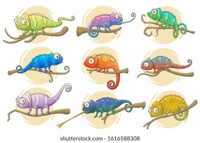 Chameleon lizard icons of reptile animals vector design. Colorful chameleons sitting on branches of exotic tropical forest or jungle tree with long tails, tongues and bright camouflage patterns