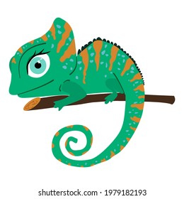 Chameleon lizard icons of reptile animals vector design. A colorful chameleon sitting on a branch of exotic tropical forest or jungle tree with long tails, tongues and vibrant camouflage patterns