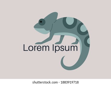 Chameleon lizard logo, copy space, wildlife, brand identity