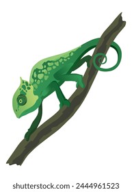 Chameleon lizard. Reptiles with curved tail and camouflage skin, tropical wildlife. Vector exotic animal illustration