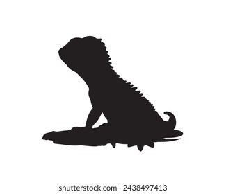 Chamäleon-Eidechse Silhouette. In: Chameleon Vector Illustration. Lizard Art Work.