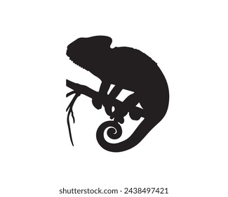 Chameleon lizard silhouette. Chameleon vector illustration. lizard art work.