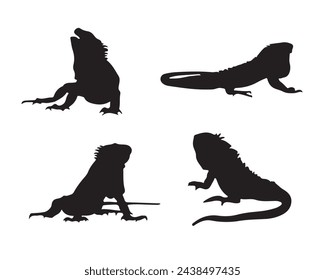 Chameleon lizard silhouette. Chameleon vector illustration. lizard art work.