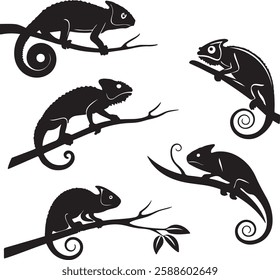 Chameleon lizard silhouette. Chameleon vector illustration