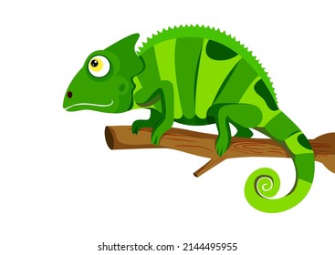 Chameleon-Eidechsen, die auf einem Ast-Stock stehen. Vektorgrafik-Illustrator der Chamäleon-Eidechsen einzeln auf weißem Hintergrund
