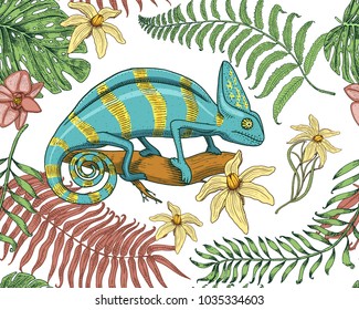 Chameleon Lizard, tropical flowers, seamless pattern. American green reptile or snake, herbivorous. vector illustration for book or pet store, zoo. engraved hand drawn in old sketch.