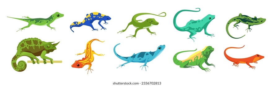 Chameleon lizards. Cute mexican salamander characters, zoo exotic reptile zoo animal for kids comic design. Vector colorful set. Different small comic spotted amphibians with tails