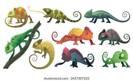 Chameleon lizards. Reptiles with curved tail and camouflage skin, tropical wildlife. Vector collection of different exotic animals