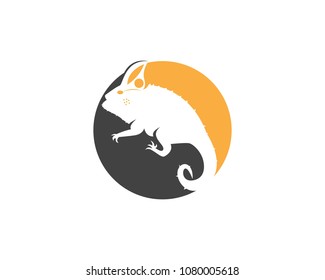 Chameleon logo design vector full color