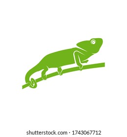 Chameleon logo design vector. Icon Symbol. Template Illustration