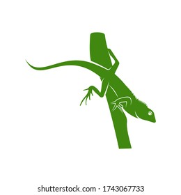 Logo-Designvektor von Chameleon. Symbol. Vorlagendarstellung