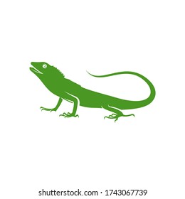 Vector de diseño del logo de Chameleon. Símbolo de icono. Ilustración de plantilla