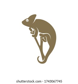 Vector de diseño del logo de Chameleon. Símbolo de icono. Ilustración de plantilla