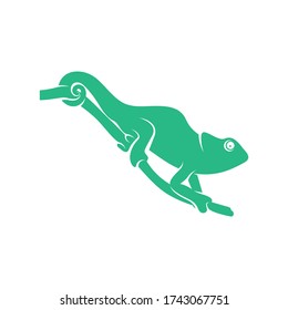 Chameleon logo design vector. Icon Symbol. Template Illustration