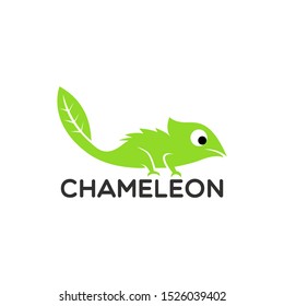 chameleon logo Design Vector illustration 