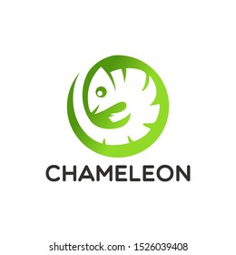 chameleon logo Design Vector illustration 