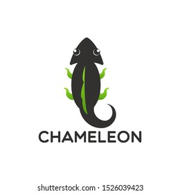 chameleon logo Design Vector illustration 
