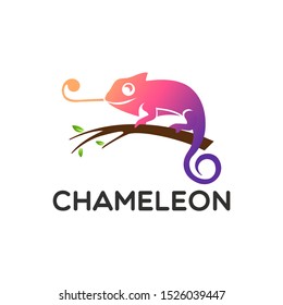 chameleon logo Design Vector illustration 