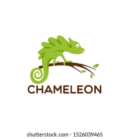 chameleon logo Design Vector illustration 