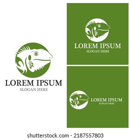 Chameleon logo vector template illustration