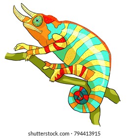 the chameleon male exotic reptile  vector illustration
