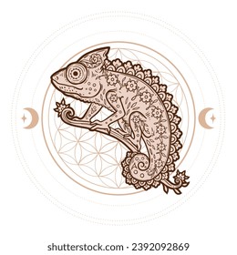 Chameleon mandala. Animal Vector illustration. Adult or kids coloring book page in Zen boho style. Antistress lizard drawing. Black and white