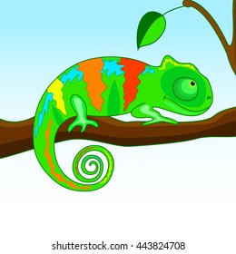 chameleon on the branch