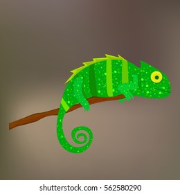 Chameleon on a branch on brown background