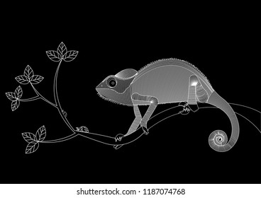 Chameleon on a branch with insect.