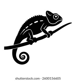 Chameleon on branch silhouette isolated on white background
