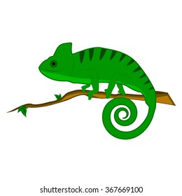 Chameleon on the branch vector illustration 