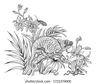 Chameleon on a fallen tree trunk among orchids in the jungle, black and white contour graphics, coloring page for adults and children.