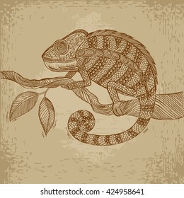 Chameleon on leaf. Grunge hand drawn vector stock illustration