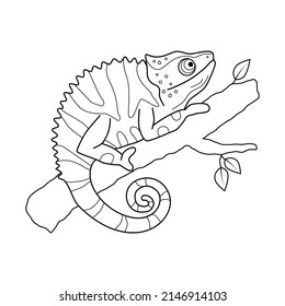 Chameleon on a tree branch black and white contour hand drawn illustration on white background svg