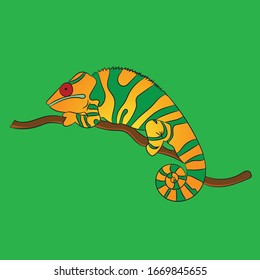 Chameleon on tree branch illustration 