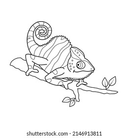 Chameleon on a tree branch in the jungle, black and white contour illustration on white background