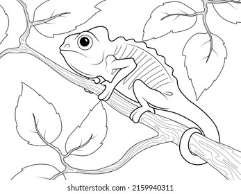 Chameleon on a tree branch. Page outline of cartoon. Vector illustration, coloring book for kids.