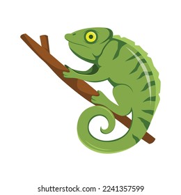 Chameleon on the Tree Cartoon Illustration