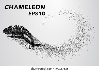 Chameleon particle. The silhouette of a chameleon is made up of little circles.