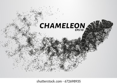 Chameleon particle. The silhouette of a chameleon is made up of little circles