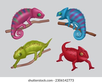 Chameleon. Realistic colored masked animals on branch decent vector wildlife animal