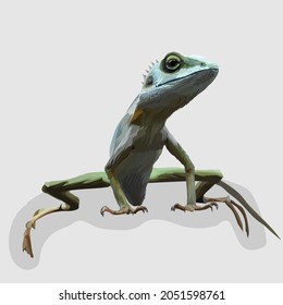chameleon Realistic hand drawn illustrations and vectors