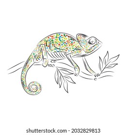 Chameleon realistic outline drawing with colored spots. Isolated on white