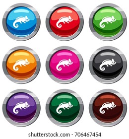 Chameleon set icon isolated on white. 9 icon collection vector illustration