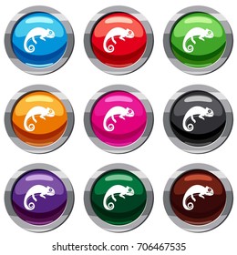Chameleon set icon isolated on white. 9 icon collection vector illustration