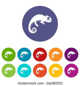 Chameleon set icons in different colors isolated on white background