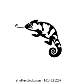chameleon silhouetta. vector illustration of chameleon